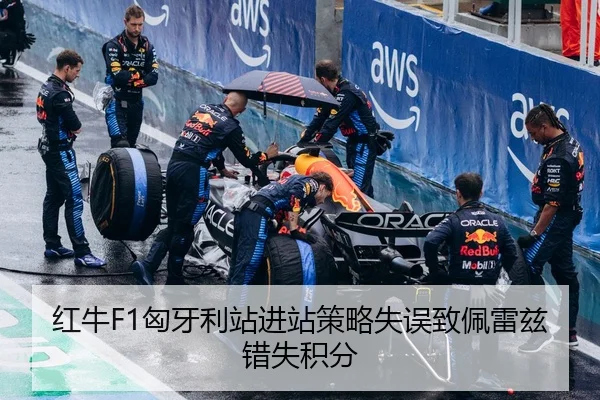 红牛F1匈牙利站进站策略失误致佩雷兹错失积分