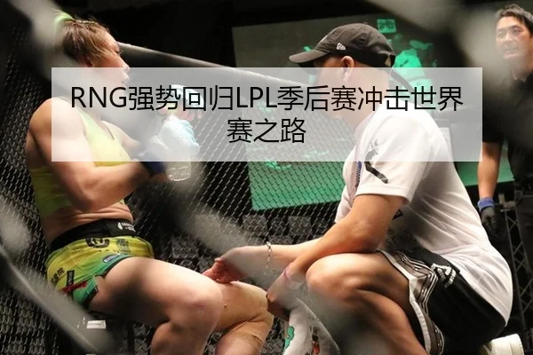 RNG强势回归LPL季后赛冲击世界赛之路