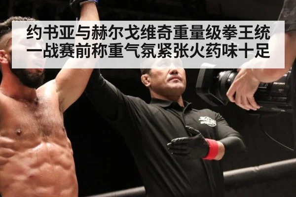 约书亚与赫尔戈维奇重量级拳王统一战赛前称重气氛紧张火药味十足